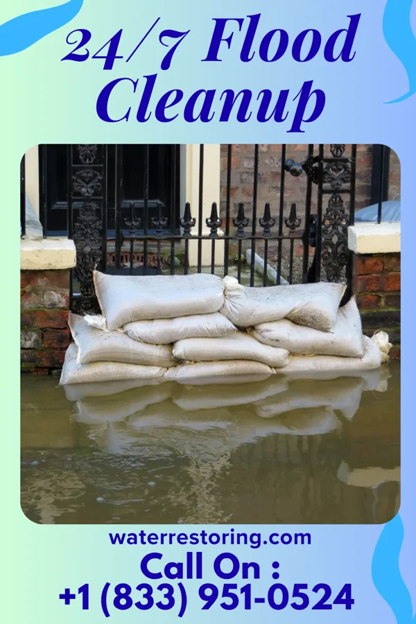 24/7 Flood Cleanup in Dennison, MN