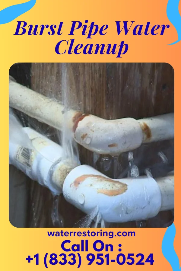 Burst Pipe Water Cleanup in Dennison, MN