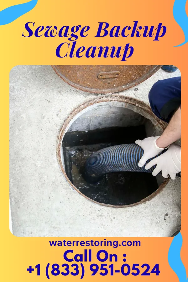 Sewage Backup Cleanup in Dennison, MN