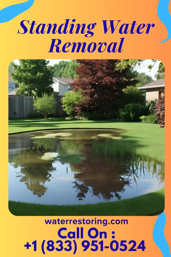 Standing Water Removal in Dennison, MN